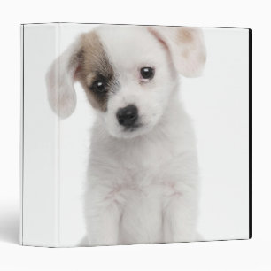 Cross breed puppy (2 months old) binder