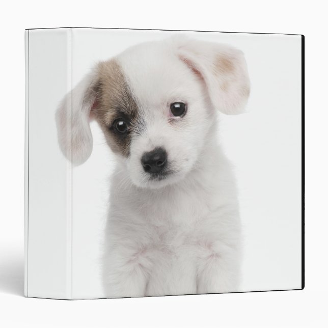Cross breed puppy (2 months old) binder (Front/Spine)