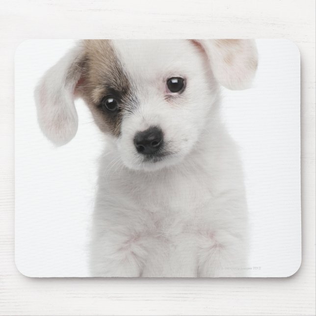 Cross breed puppy (2 months old) mouse pad (Front)