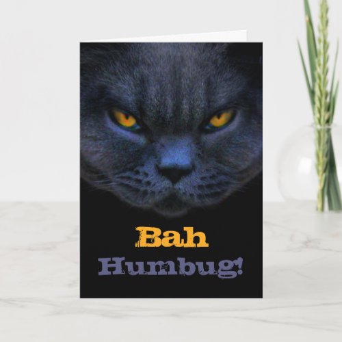 Cross Cat says Bah Humbug Holiday Card