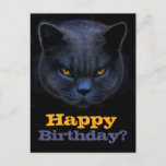 Cross Cat Says Happy Birthday? Postcard at Zazzle
