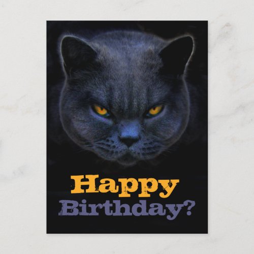 Cross Cat says Happy Birthday Postcard