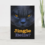Cross Cat Says Jingle Bells? Holiday Card at Zazzle