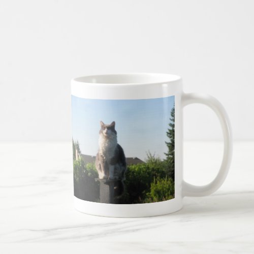 Cross eyed cat and Luke 1 78_79 Coffee Mug