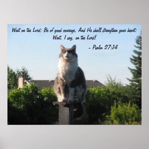 Cross Eyed cat and Psalm 2714 Poster