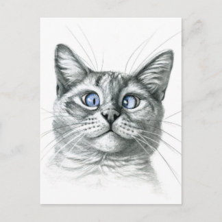 Cross Eyed cat G122 Postcard
