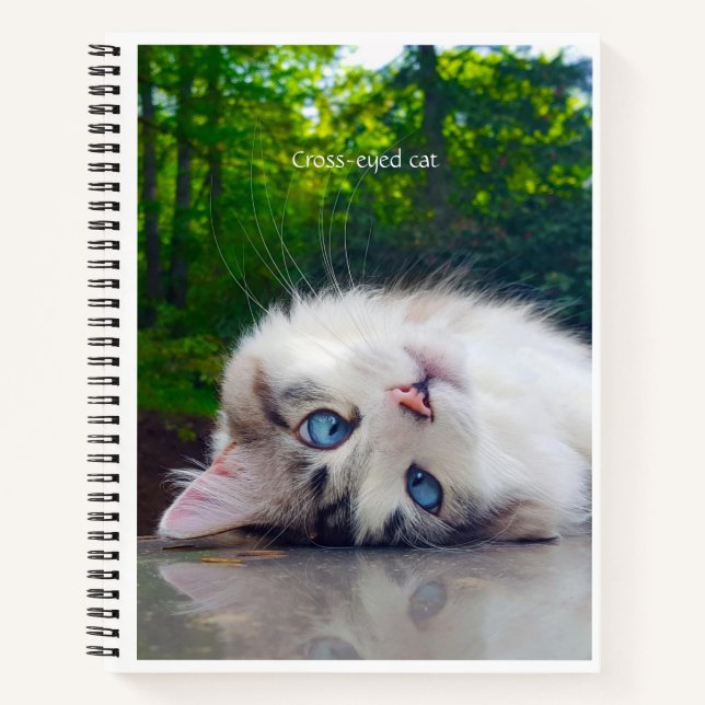 Cross-eyed cat notebook (Front)