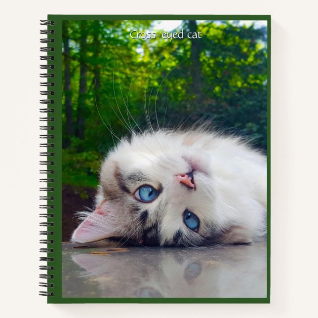 Cross-eyed cat notebook (Front)
