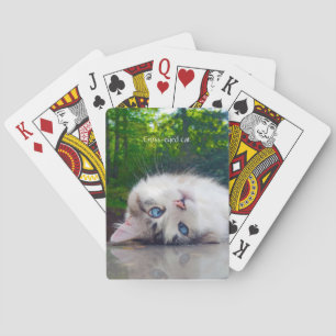Cross-eyed cat poker cards