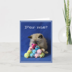 Cross-Eyed Kitten with Toy Mice Thank You Card