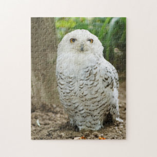Cross Eyed Owl Bird of Prey Jigsaw Puzzle