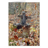 Cross in the Woods (Front)