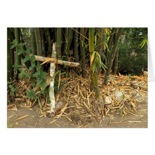 cross leaning on bamboo cards (Front Horizontal)