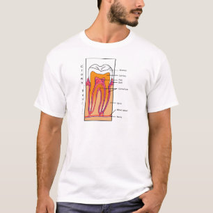 Cross Section Diagram of a Human Tooth T-Shirt