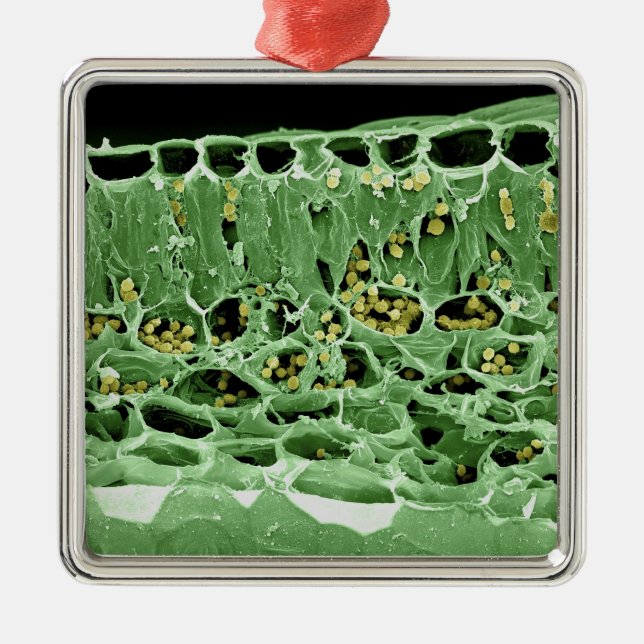 Cross Section of Leaf Metal Ornament (Front)