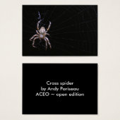 Cross Spider ~ ATC (Front & Back)