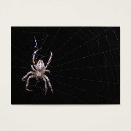 Cross Spider ~ ATC Business Card Templates