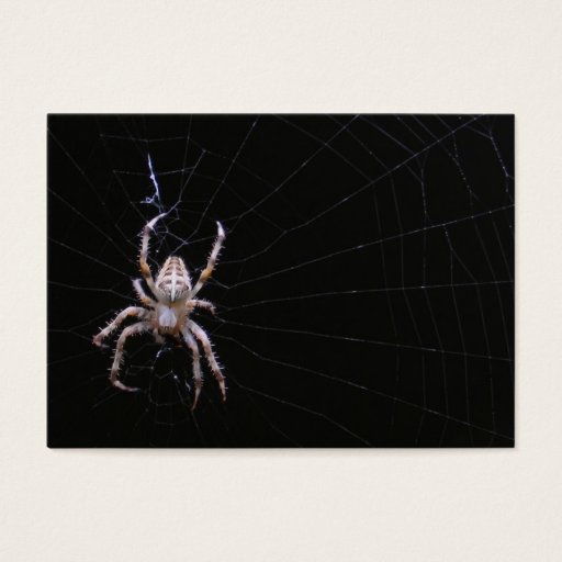 Customizable Cross Spider ~ ATC Business Card Templates