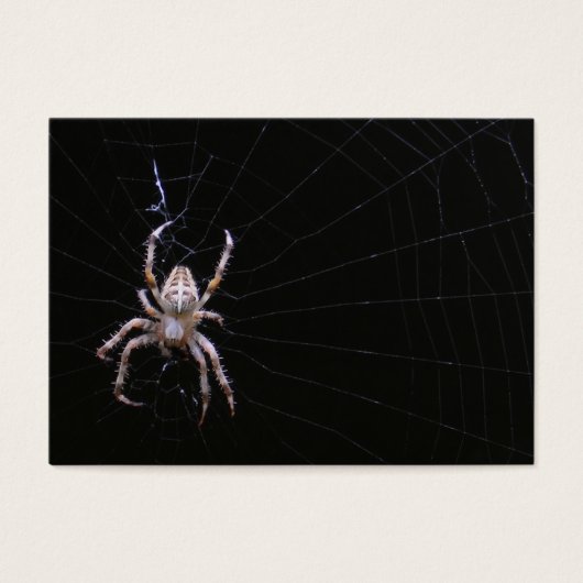 Cross Spider ~ ATC (Front)