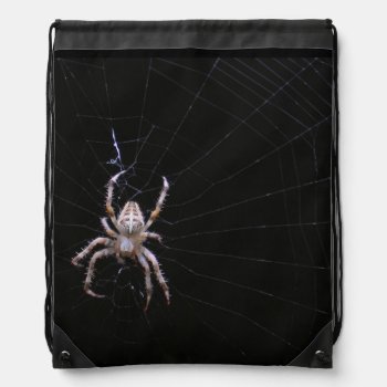 Cross Spider ~ Backpack by Andy2302 at Zazzle