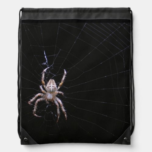 Cross Spider  Backpack