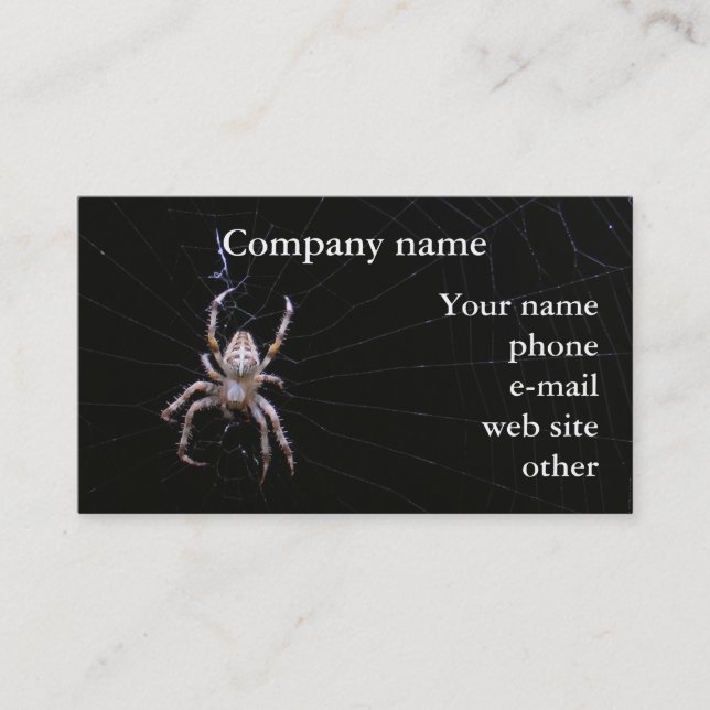 Cross Spider ~ biz card (Front)