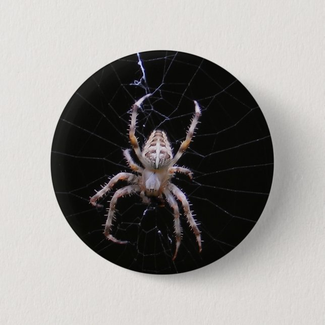 Cross Spider ~ button (Front)