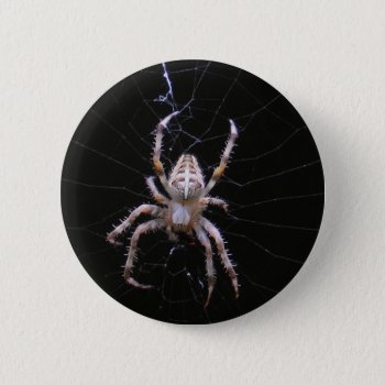 Cross Spider ~ Button by Andy2302 at Zazzle