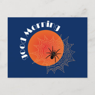 cross spider in the net at sunrise postcard