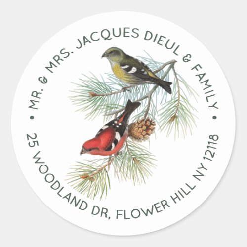 Crossbill Bird Personalized Sage Text  Classic Round Sticker