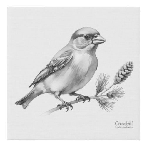 Crossbill Finch on Pine Branch Monochrome Faux Canvas Print