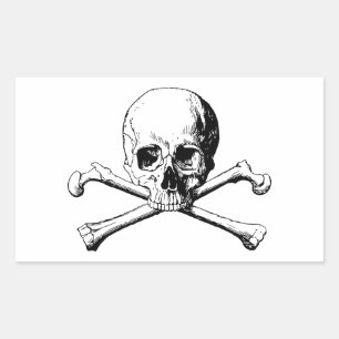 Crossbones skull rectangular sticker