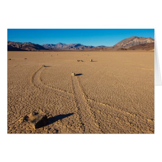 Crossing Paths (Front Horizontal)