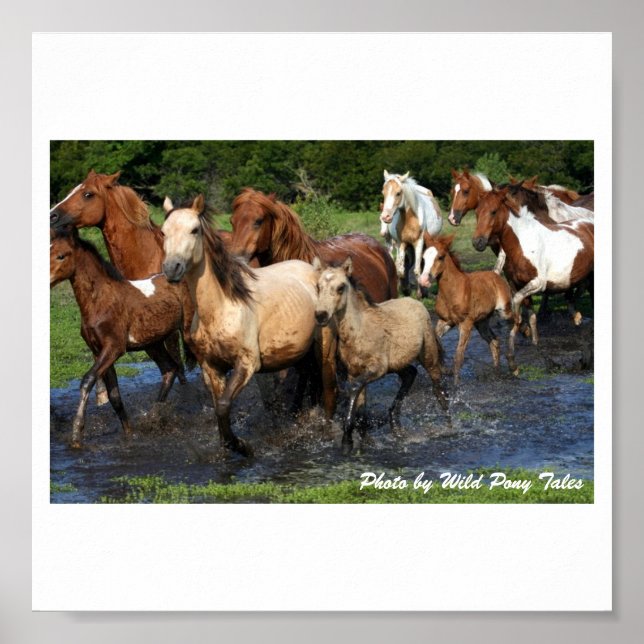 Crossing Poster (Front)