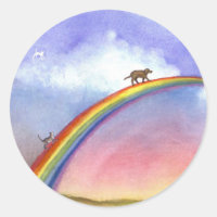 Crossing The Rainbow Bridge