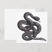 Crotalus Cascavella Snake (Venemous Pit Viper) (Front/Back)