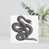 Crotalus Cascavella Snake (Venemous Pit Viper) (Standing Front)