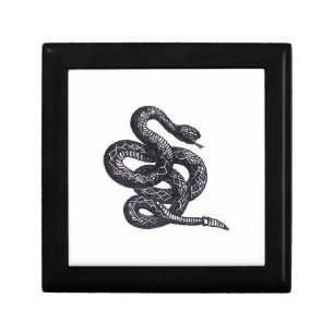 Crotalus Cascavella Snake (Venemous Pit Viper) Gift Box