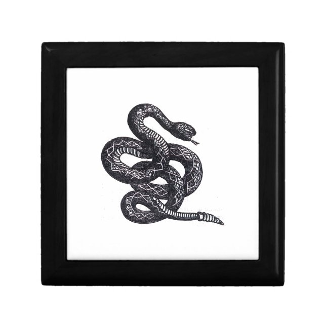 Crotalus Cascavella Snake (Venemous Pit Viper) Gift Box (Front)