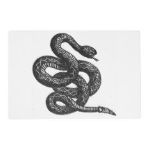 Crotalus Cascavella Snake (Venemous Pit Viper)