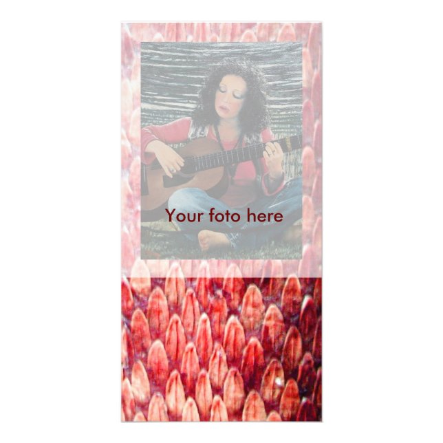 CROTALUS,Photo Card (Front)