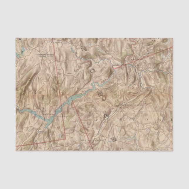 Croton Lake Vicinity Tissue Paper (Front)