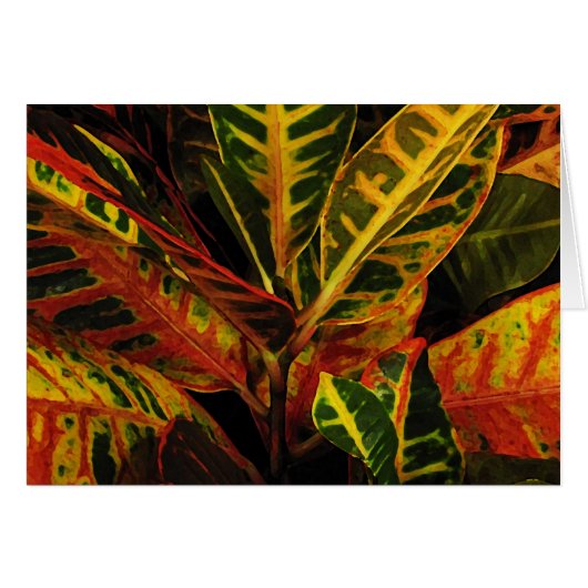 Croton Leaves Abstract Cards (Front Horizontal)