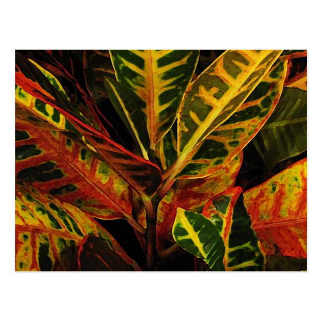 Croton Leaves Abstract