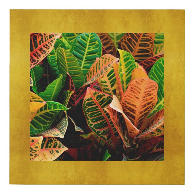 Croton tropical plant photo on elegant gold faux canvas print (Front)