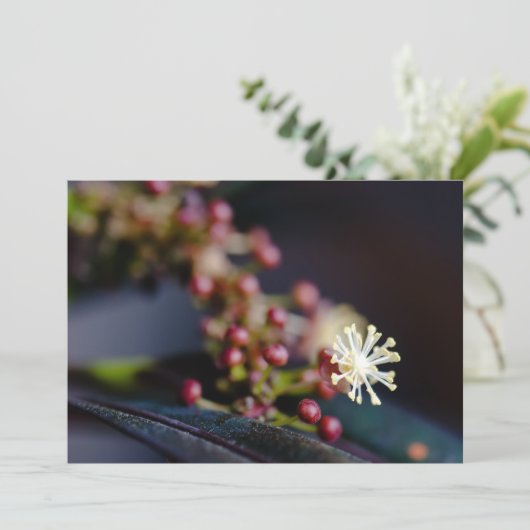 Croton's flower (Standing Front)