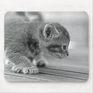 Crouching Kitten Mouse Pad