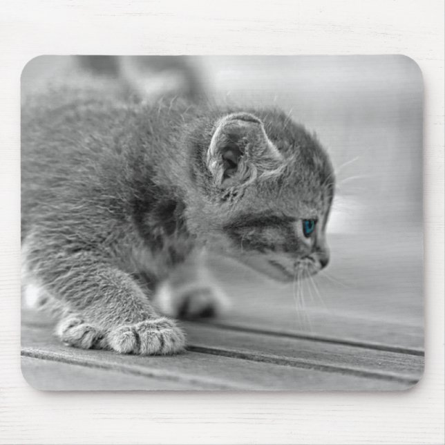 Crouching Kitten Mouse Pad (Front)