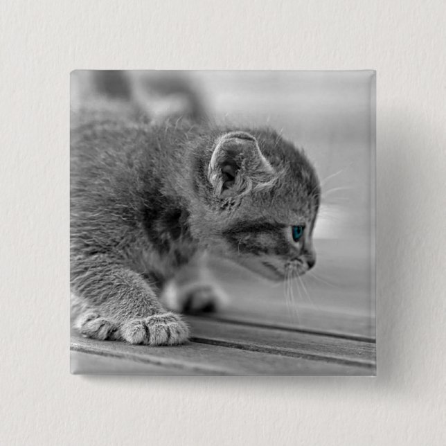 Crouching Kitten Pinback Button (Front)