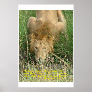 Crouching Lion, Hidden Not Poster
